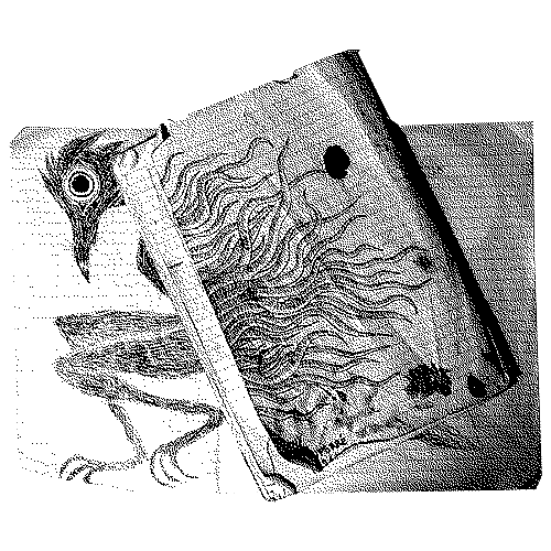 carnets